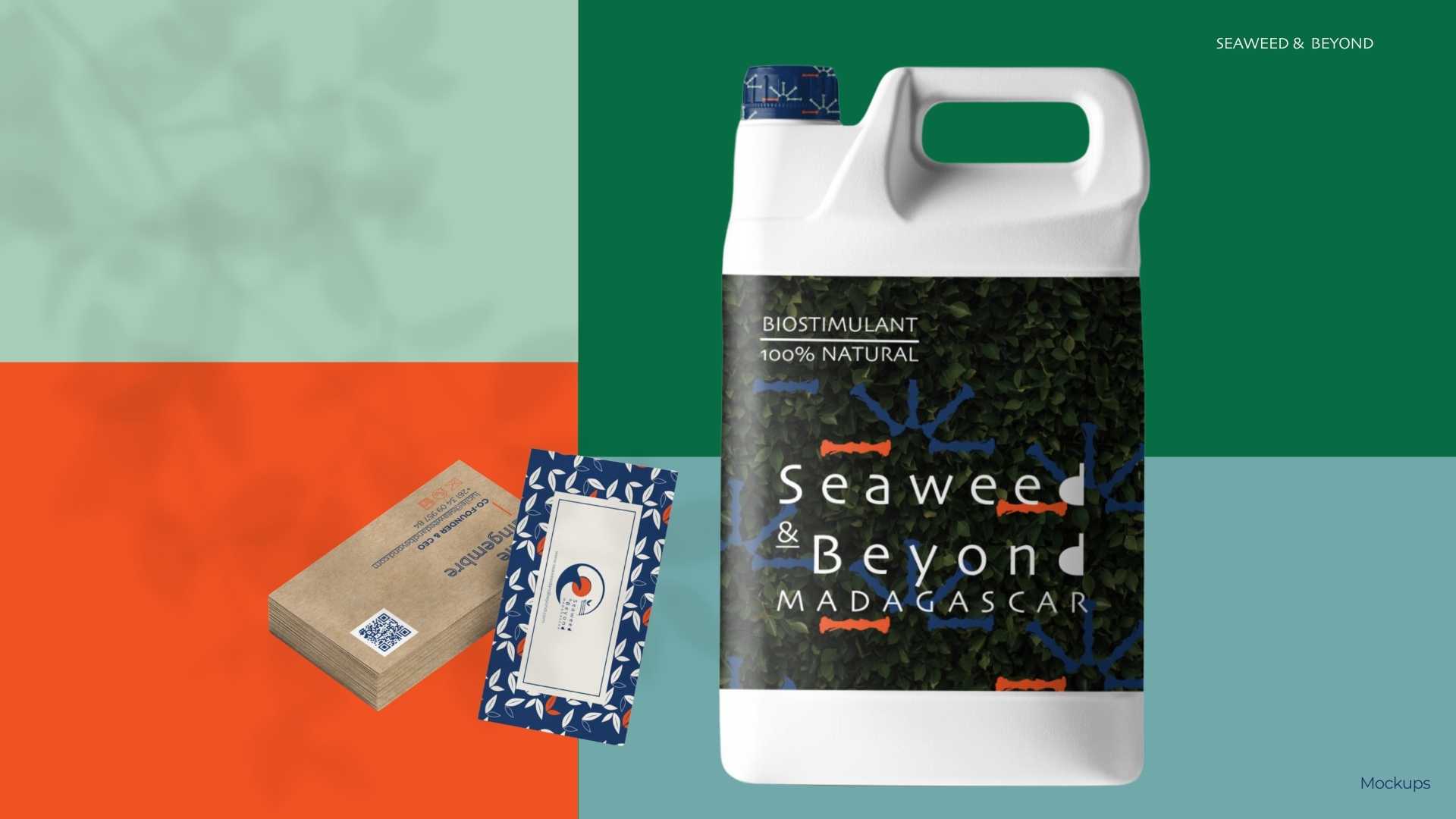Mockups Seaweed & Beyond