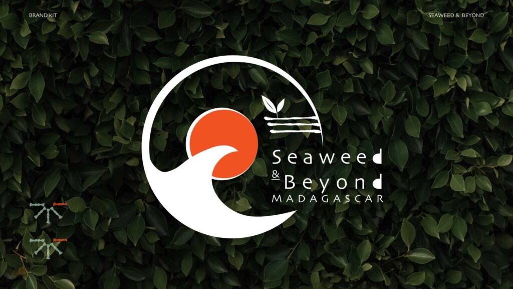 seaweed & beyond brand strategy created by kalahari design studio